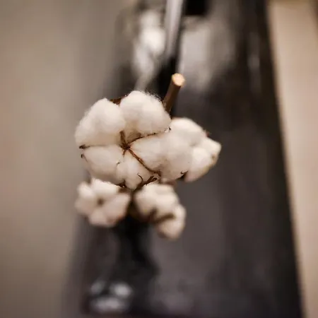 Casa Di Fantaye By Happyhostorino Turin